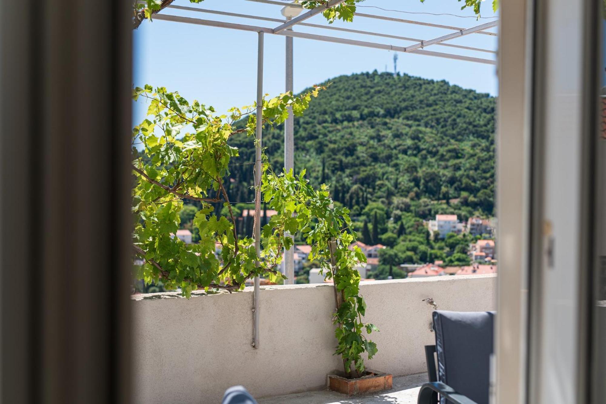 Guesthouse Niko Dubrovnik Dış mekan fotoğraf